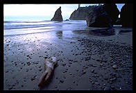 Ruby Beach. Olympic National Park (Washington State)