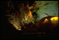 Carlsbad Caverns National Park, New Mexico