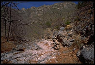 Guadalupe Mountains National Park, Texas