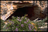 Guadalupe Mountains National Park, Texas