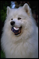 Alex with baseball in Harvard Yard