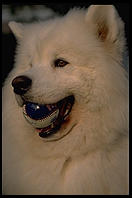Alex with baseball in Harvard Yard