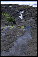 Tide Pool.  Oregon Coast
