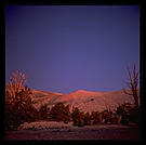 Ancient Bristlecone Pine Forest.  California's White Mountains.