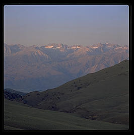 Ancient Bristlecone Pine Forest.  Sunrise. Looking east toward the Sierra.