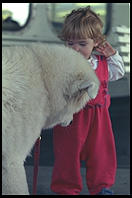 Alex.  Age 8 months.