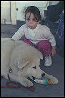 Alex.  Age 8 months.