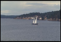 Ferry to Orcas Island (island of private beaches for rich Microsoft guys)