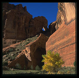 Canyon de Chelly (northeast Arizona).