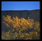 Canyon de Chelly (northeast Arizona).