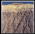 Petrified Forest (north-central Arizona).