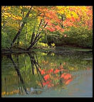 Ayer Lake.  I have an ugly feeling that this is actually in Groton, Massachusetts (a neighboring town), but I always get there by driving to Ayer first. 1992