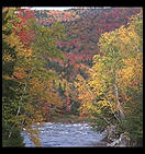 Rocky Gorge. Just off the Kamcamangus Highway in the White Mountains of New Hampshire.  1991.