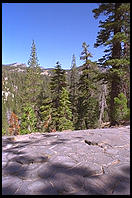 Top of Devil's Postpile. Near Mammoth Lakes, California.