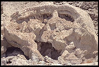 Pyramid Lake, NE of Reno, Nevada.  On the Paiute Indian Reservation.