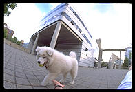 Alex in front of the MIT Media Lab.