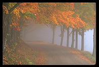 A misty morning a little bit north of Woodstock, Vermont