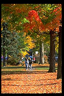 The green, Woodstock, Vermont