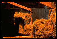 Amish hayloft.  Pennsylvania.