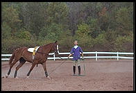 New Jersey State Fair 1995.  Flemington, New Jersey.