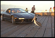 Acura NSX on the Pier.  Santa Barbara, California.