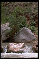 Lower Havasupai Canyon.  Grand Canyon National Park.