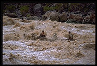 Reenactment of Powell's trip.  Lava Falls.  Grand Canyon National Park.  August 1999.