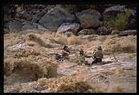 Reenactment of Powell's trip. Lava Falls. Grand Canyon National Park. August 1999.