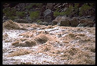 Reenactment of Powell's trip.  Lava Falls.  Grand Canyon National Park.  August 1999.