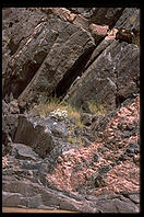 Grand Canyon National Park.