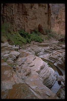 Grand Canyon National Park.