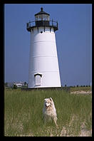 Alex and the Edgartown Lighthouse, Martha's Vineyard (Massachusetts)