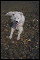 Alex in the water on Martha's Vineyard, Massachusetts