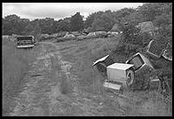 The one store on Chappaquiddick, Martha's Vineyard, Massachusetts. It is a combination beer/ice shop and junkyard