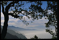 Early Morning.  Big Sur, California.