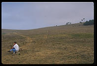 California Coast, Cambria.
