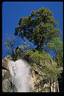 Kings Canyon National Park