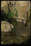 Kings Canyon National Park