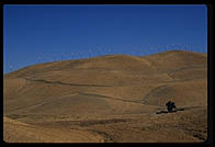 Windmill Farm.  Near Livermore, California.