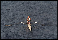 Head of the Charles Regatta, Sunday, October 18, 1998.  From the footbridge to Harvard Business School