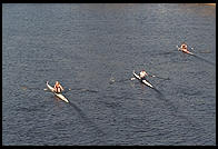 Head of the Charles Regatta, Sunday, October 18, 1998.  From the footbridge to Harvard Business School