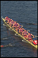 Head of the Charles Regatta, Sunday, October 18, 1998.  From the footbridge to Harvard Business School