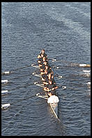 Head of the Charles Regatta, Sunday, October 18, 1998.  From the footbridge to Harvard Business School