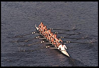 Head of the Charles Regatta, Sunday, October 18, 1998.  From the footbridge to Harvard Business School