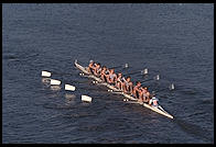 Head of the Charles Regatta, Sunday, October 18, 1998.  From the footbridge to Harvard Business School