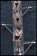 Head of the Charles Regatta, Sunday, October 18, 1998.  From the footbridge to Harvard Business School