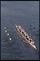 Head of the Charles Regatta, Sunday, October 18, 1998.  From the footbridge to Harvard Business School