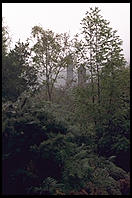 Glendalough, in the Wicklow Mountains south of Dublin, Ireland.