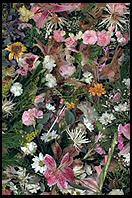 Glendalough, in the Wicklow Mountains south of Dublin, Ireland.