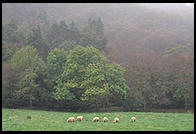 Glendalough, in the Wicklow Mountains south of Dublin, Ireland.